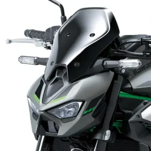 Snabb leverans Kawasaki VINDRUTA, STOR Z900 2025-Kawasaki Meter Cover Large Z900 2025-